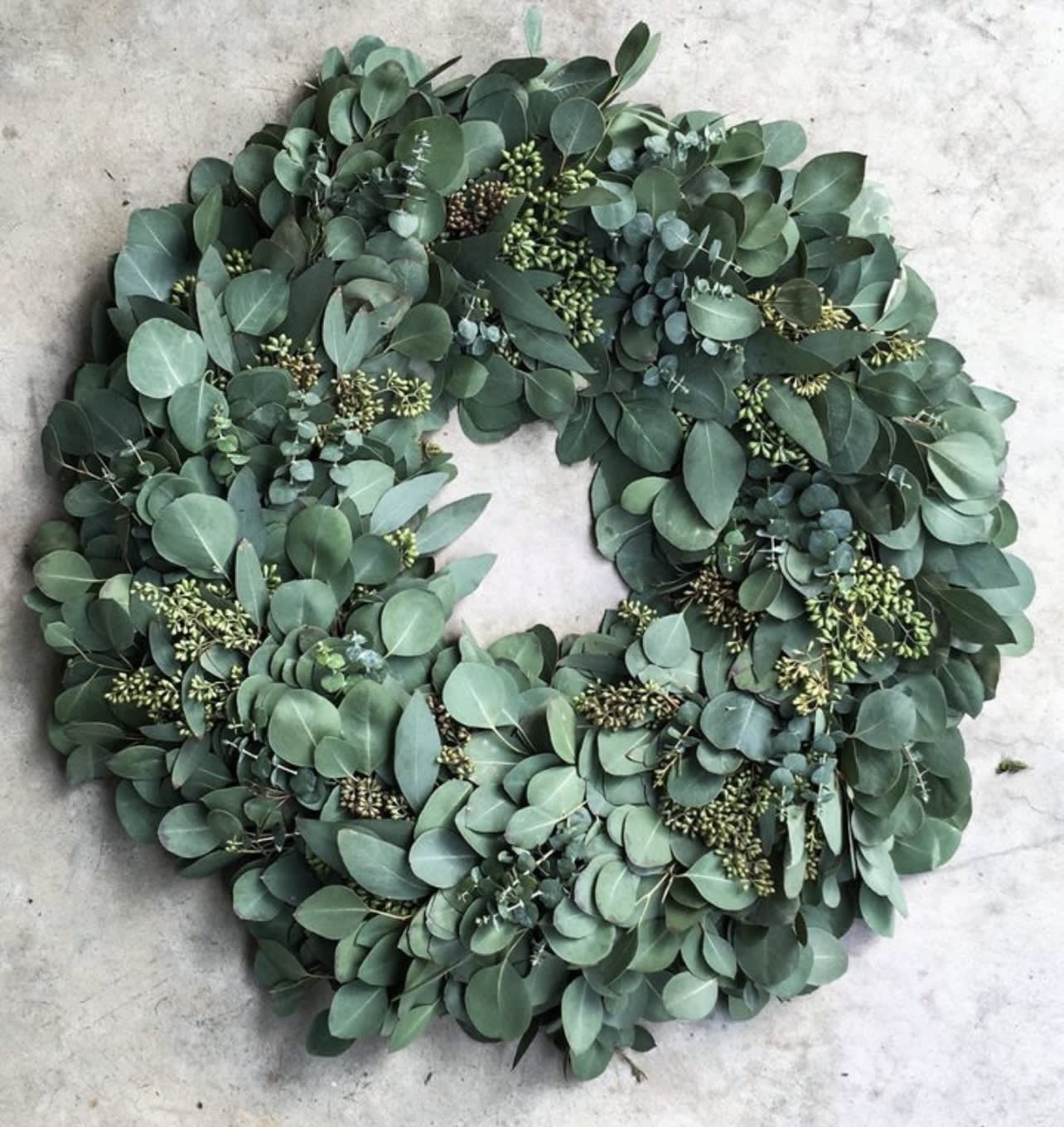 Fresh Eucalyptus Wreath  - A gorgeous fresh eucalyptus wreath with seeded eucalyptus, silver dollar and more in a 20 inch circle perfect for spreading holiday cheer.