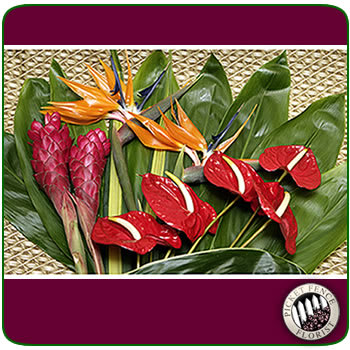 Tropical Flowers - 5 medium red Anthurium, 2 Bird of Paradise, 2 red Ginger and Assorted Greens.  TROPICALS DELIVERY OPTIONS  Shipping to US Mainland and Alaska only.  Fedex Shipping charges included in price.  No local deliveries or store pickups available.  One shipping address per order. Alaska shipments have an additional $10 handling fee. 