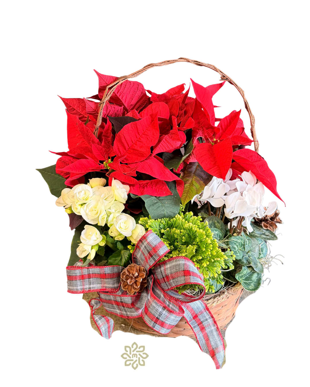 Holiday Homecoming - Real live plants make this basket a welcome gift for any home! It's perfectly suited for the season and will be appreciated even after the holidays.