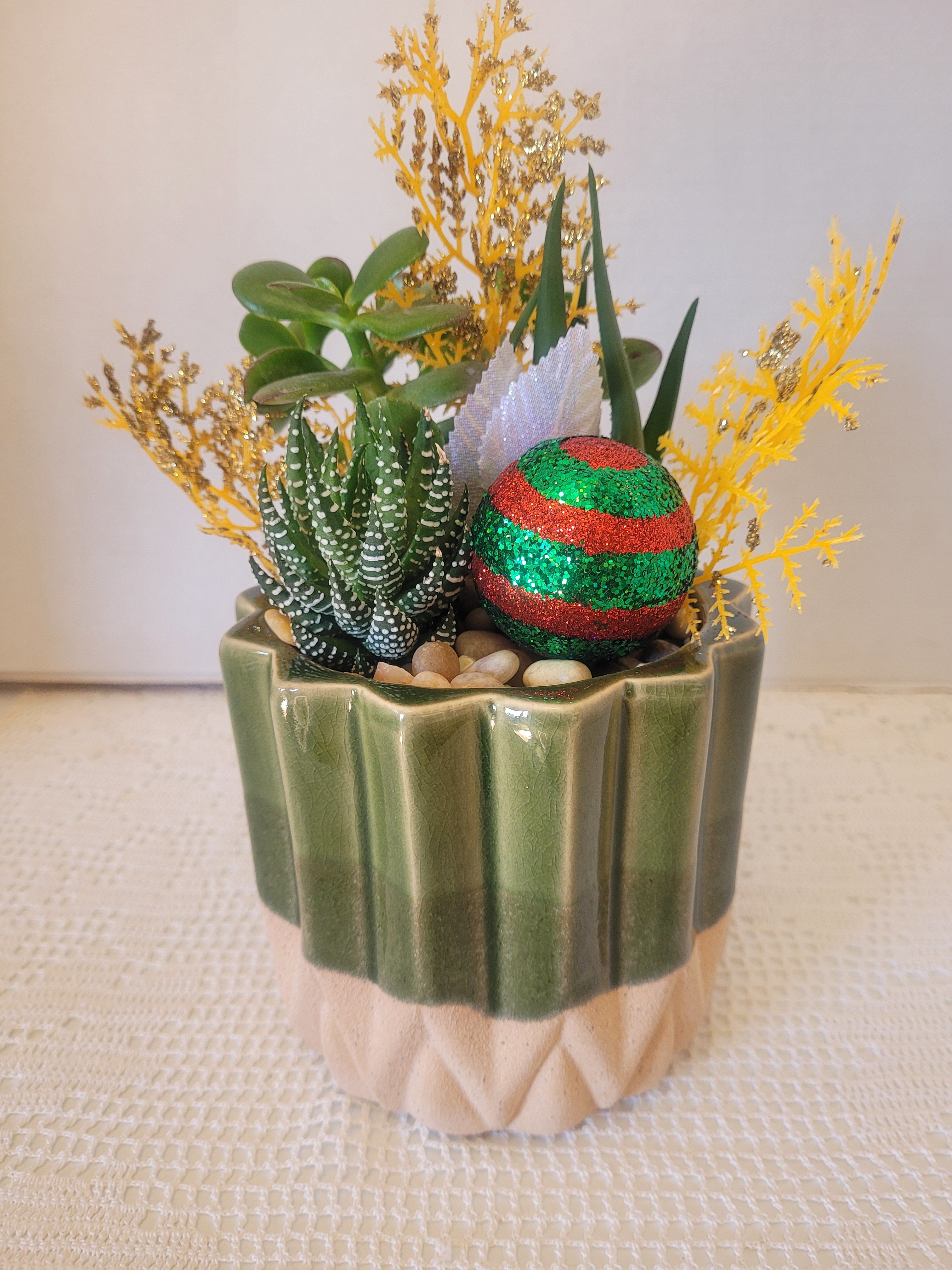 Green Christmas Ceramic  - A lovely green ceramic planted with succulents and decked out with seasonal embellishments. This is a closed environment so remember to spritz. 
