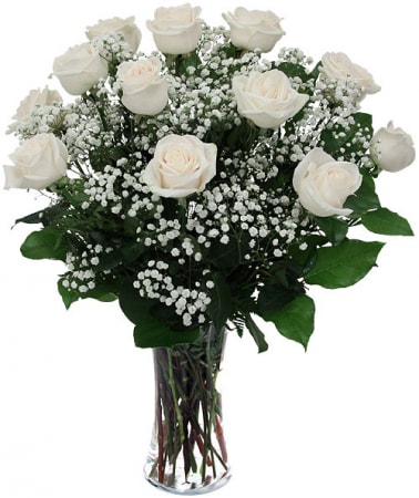 White Roses Vased - 12 white roses, baby's breath or filler with greens , vase and bow  $85.00 24 white roses, baby's breath or filler with greens , vase and bow  $160.00 50 white roses, baby's breath or filler with greens , vase and bow  $310.00