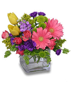 Colorful Cube - Colorful cube with an array of spring flowers.