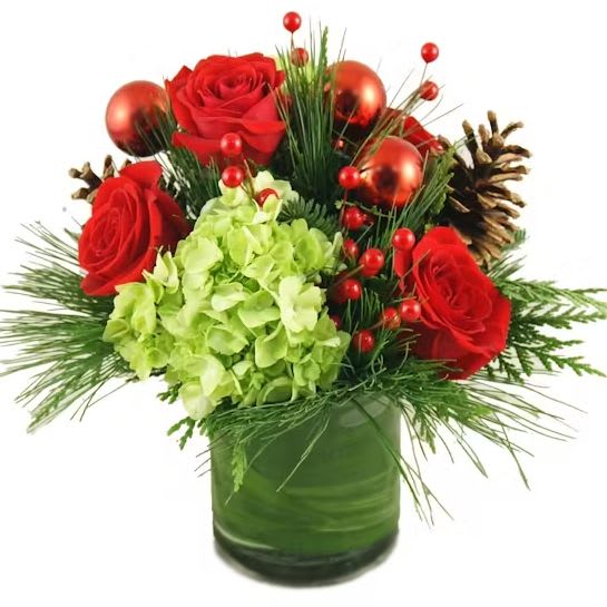 Christmas Celebration - Share the joy of the season with a festive centerpiece overflowing with classic holiday charm. Bright red roses, lush green hydrangea, fresh princess pine, and natural pine cones come together with assorted seasonal decorations to create a warm and welcoming display. Perfect for holiday gatherings, dinner tables, or gifting, this arrangement brings the spirit of the season to any space.  Standard (Stem Count) – 4 Red Roses – 1 Green Hydrangea – Princess Pine, Pinecones &amp; Seasonal Decorations – Fresh Garden Greens – Designed in a 5&quot; Cylinder Vase Approx. size: 7&quot; (W) x 8&quot; (H)  Deluxe (Stem Count) – 5 Red Roses – 2 Green Hydrangea – Princess Pine, Pinecones &amp; Seasonal Decorations – Fresh Garden Greens – Designed in a 5&quot; Cylinder Vase Fuller version with additional blooms  Premium (Stem Count) – 6 Red Roses – 3 Green Hydrangeas – Princess Pine, Pinecones &amp; Seasonal Decorations – Fresh Garden Greens – Designed in a 6&quot; Cylinder Vase Most abundant and enhanced for maximum holiday impact  Care Tips Place your arrangement in a cool area, away from direct sunlight, heating/cooling vents, drafts, or electronics that emit heat. Check the water level daily and keep the vase filled with fresh, clean water. Replace the water every 2–3 days and trim the stems for longer-lasting beauty.