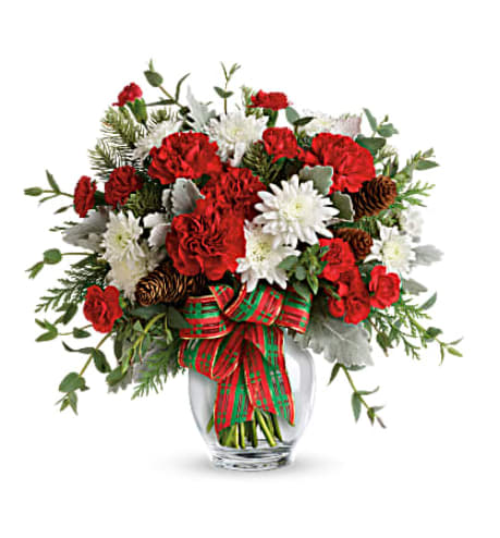 Teleflora's Holiday Shine Bouquet - Make their season bright with this fun bouquet of Christmas blooms, hand-delivered in a glass ginger jar and accented with a shimmering holiday plaid ribbon. This bold bouquet includes red carnations, red miniature carnations, white cushion spray chrysanthemums, flat cedar, noble fir, dusty miller, parvifolia eucalyptus, small pinecones and wired ribbon. Delivered in a glass ginger jar. Orientation: One-Sided