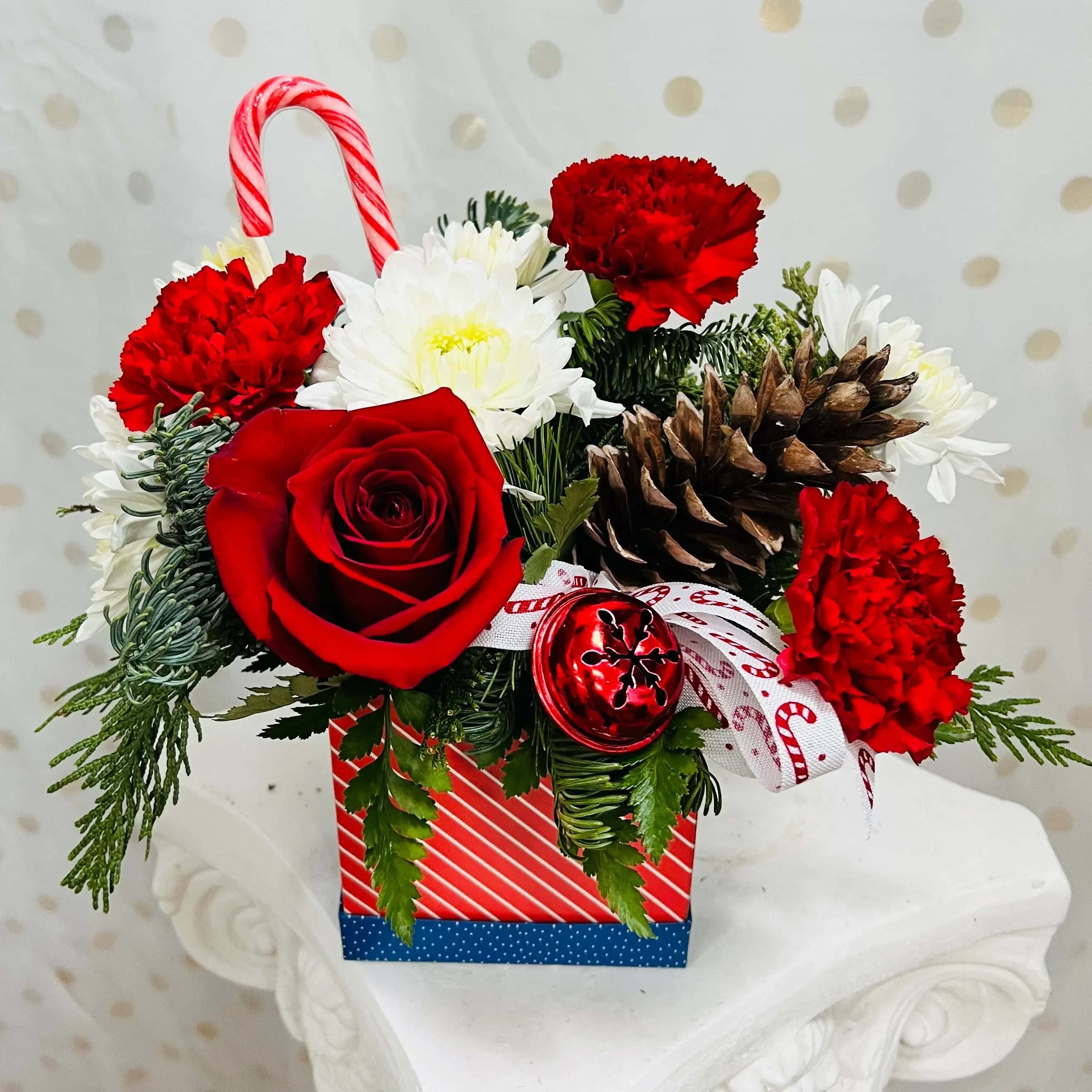 Christmas Cutie - Send this box of flowers, candy cane, and holiday greens to brighten someone's holiday season!  (Box design may vary)