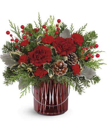 Scarlet Holiday Delight - Illuminate your holiday festivities with this enchanting Christmas bouquet, elegantly arranged in a red glass lantern. Later, it doubles as a beautiful candleholder, bringing a warm and festive glow to your home décor.  Showcases maroon carnations, miniature red carnations, variegated holly, dusty miller, noble fir, and cedar, accented with festive flair. Delivered in Teleflora's Merry Glow Lantern, it brings warmth and elegance to holiday celebrations. Orientation: All-Around  SUBSTITUTION POLICY – Always deliver the freshest flowers! Please note the bouquet pictured reflects our original design.  If the exact flowers or container in this arrangement are not available, our local florists will create a beautiful bouquet with the freshest available flowers.