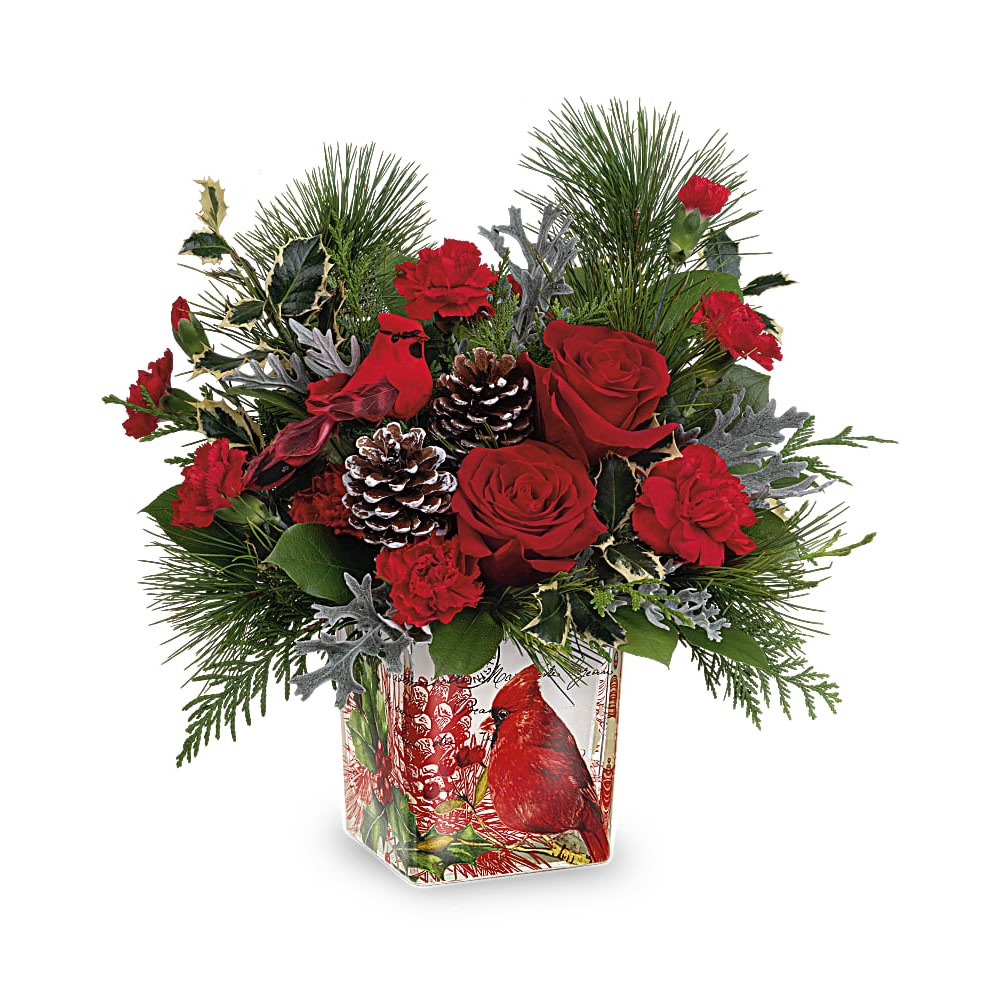 Cardinal Cheer Bouquet - Paint a magical holiday scene with this classic Christmas bouquet, arranged in a vintage-inspired glass keepsake adorned with a cheerful cardinal. Later, it's a lovely candleholder. Cardinal Cheer Bouquet features red roses, red carnations, miniature red carnations and cedar arranged with silver lace dusty miller, white pine, lemon leaf and variegated holly. Delivered in the Cardinal Cheer Cube.