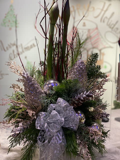 Silver Holiday Amaryllis  - Beautiful Amaryllis plant displayed inside of a 6&quot; silver cube with winter greens and silver accents 