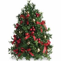 The Art of the Boxwood Ticket for Thursday Night Class 12/11 6pm  - Build and decorate a boxwood tree with fresh boxwood, faux decorations and ribbon to last throughout the season. $75.00 