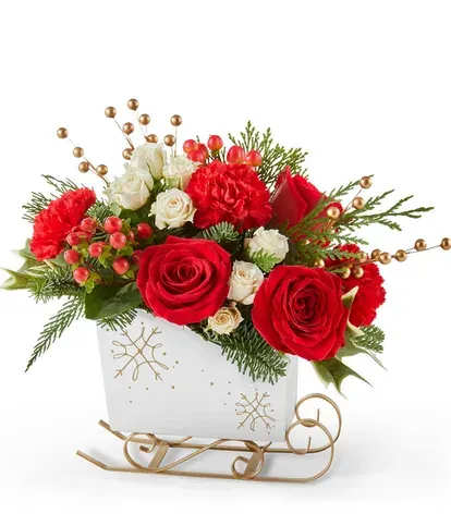 Sleigh ride with YOU! - Send a holiday gift that captures the magic of the season. This elegant arrangement features rich red roses, cheerful red carnations, and delicate white spray roses nestled among seasonal greenery. Accented with festive red hypericum berries and golden berry picks, it's beautifully arranged in a charming white sleigh with gold snowflake details. Perfect as a centerpiece or festive decor, this thoughtful gift sleighs the season with warmth and joy, making it a delightful choice for spreading holiday cheer. 