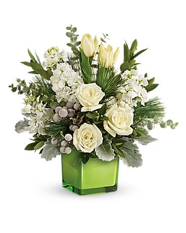 Winter Pop - A stylish pop of winter style, this snow-white bouquet in a fresh green cube dresses up any occasion! •White roses, tulips and stock with silver brunia are arranged with dusty miller, spiral eucalyptus, parvifolia eucalyptus, and white pine.  •Delivered in Teleflora's Leaf Color Splash cube. •Orientation: One-Sided 
