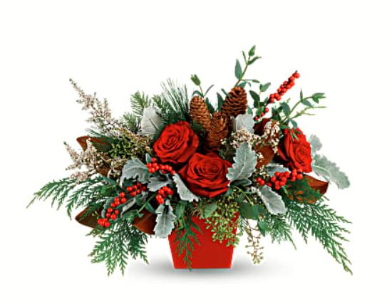Winter Blooms - Deck the halls, and table, with this artisanal mix of winter greens, berries and roses, artfully arranged in a tapered red cube. •This stunning arrangement features red roses, white calcynia, dusty miller, flat cedar, white pine, noble fir, magnolia leaves, seeded eucalyptus, parvifolia eucalyptus, red berries and pinecones.  •Delivered in a red tapered cube. •Orientation: One-Sided  
