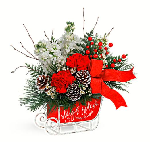 Christmas Day Sleigh - DESCRIPTION VASE SIZES Like a snowy sleigh ride through a frosty forest, this fun-filled Christmas gift is pure delight, featuring a beautiful holiday bouquet lovingly arranged in a vintage metal sleigh. White stock, red carnations and white waxflower are arranged with birch, white pine and cedar. Delivered in Teleflora's Vintage Sleigh Ride Keepsake. Orientation: All-Around