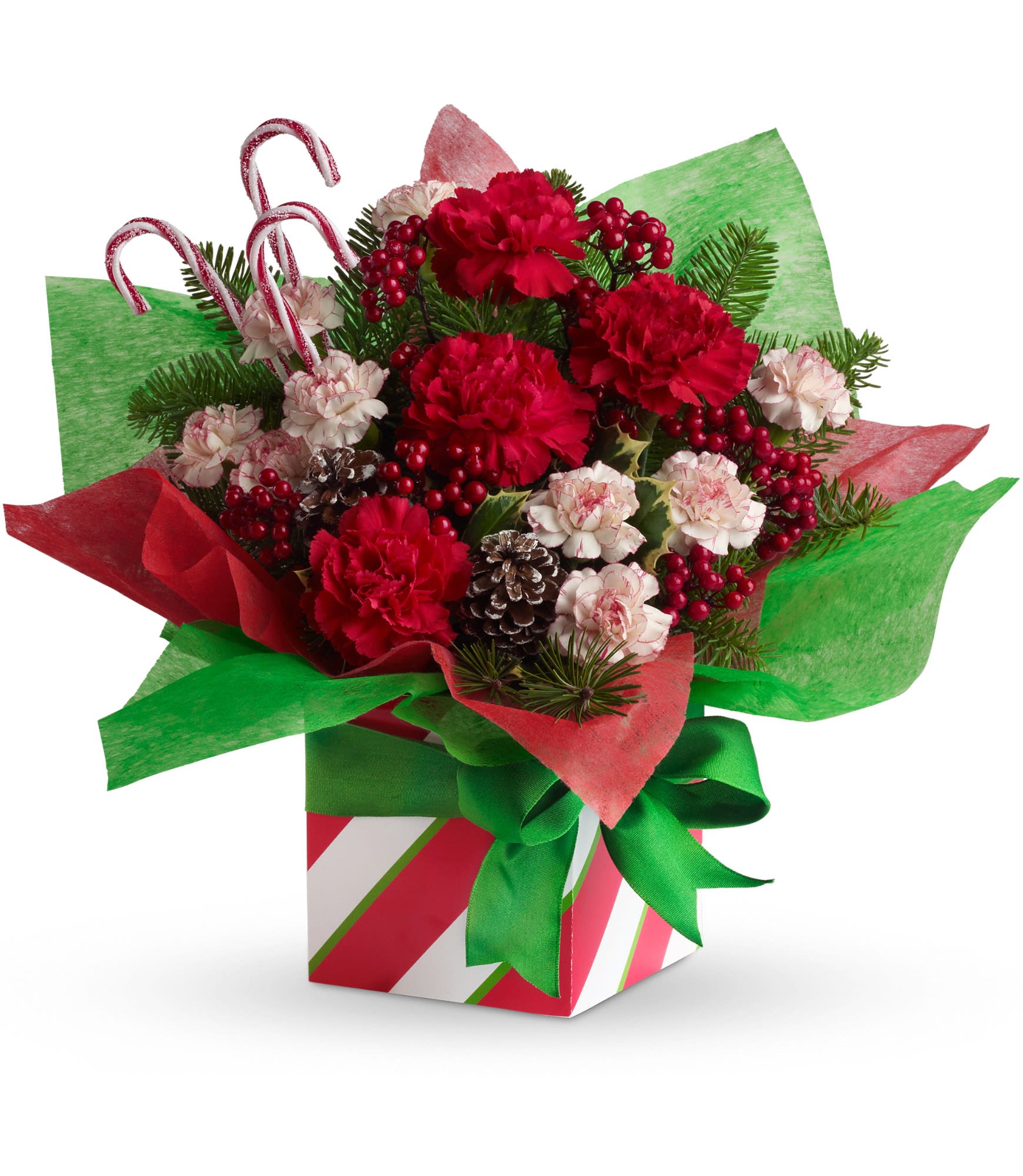 Teleflora's Christmas Present Perfect - The sprightly bouquet includes red carnations miniature peppermint carnations, noble fir and holly accented with candy canes. Delivered in a cheerful striped gift box packed with red and green tissue paper and set off with a green bow. Approximately 15" W x 13 1/2" H.  10X600B  