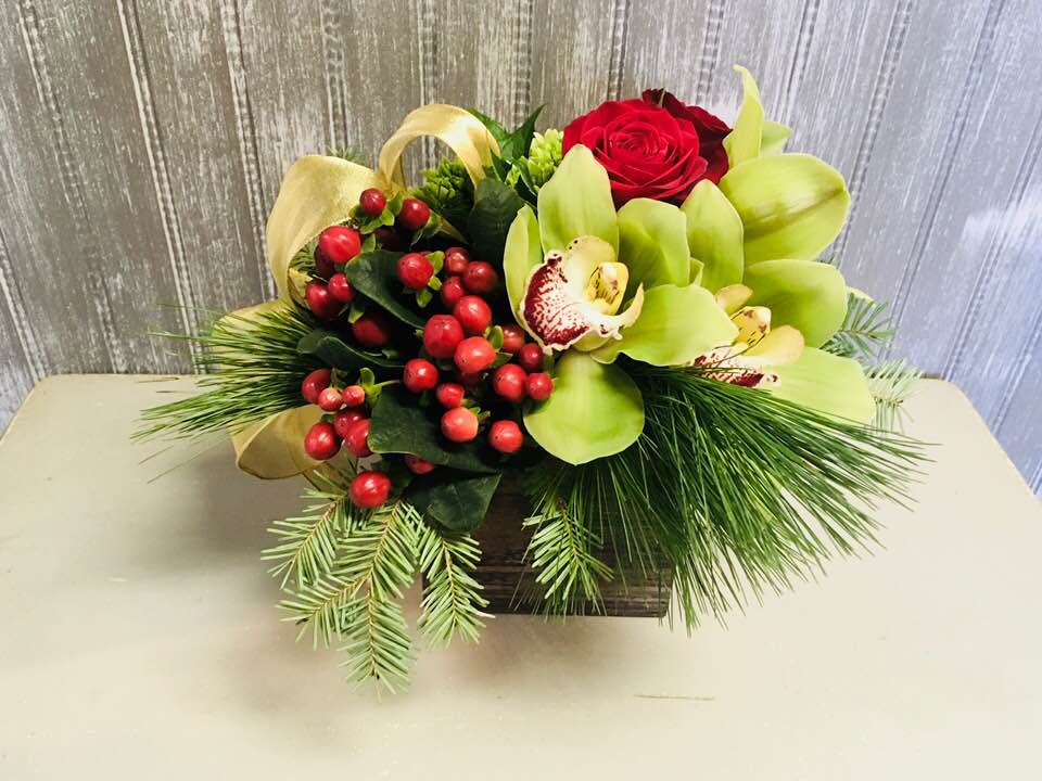 Velvet Winter - Simple seasonal cube arrangement in shades of reds and greens, gold ribbon, green berries, white cymbidium orchid, roses, pine and mini green hydrangea.  Perfect on it's own as a gift or get a few to go across the holiday table!  Sizing of box is 4",5" and 6".