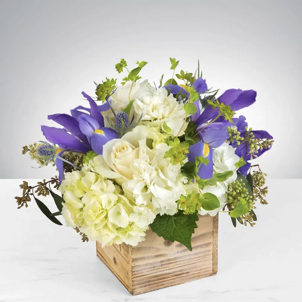 Breath of Fresh Air  - This sweet gift of hydrangeas and iris is the perfect way to let someone know you are thinking about them for any occassion. APPROX DIMENSION 8&quot; x 8&quot; x 8&quot;   Care Instructions for Fresh Flowers: Check water level upon arrival, and add very cold water if needed. Keep any arranging foam saturated, and vases very full of water. Keep cut flowers out of direct sunlight and avoid excessively hot or cold areas. Place a tray under flowers and plants to protect decorative surfaces.   We take pride in delivering beautiful floral arrangements and plants to Davenport, Bettendorf, Rock Island, Moline, East Moline, Silvis, Hampton, Colona, Carbon Cliff, Coal Valley, and Milan. Whether you want to surprise a loved one or brighten someone's day, our efficient delivery service ensures your flowers arrive fresh and vibrant. Experience the joy of gifting flowers with our reliable local delivery service in the Quad Cities area.