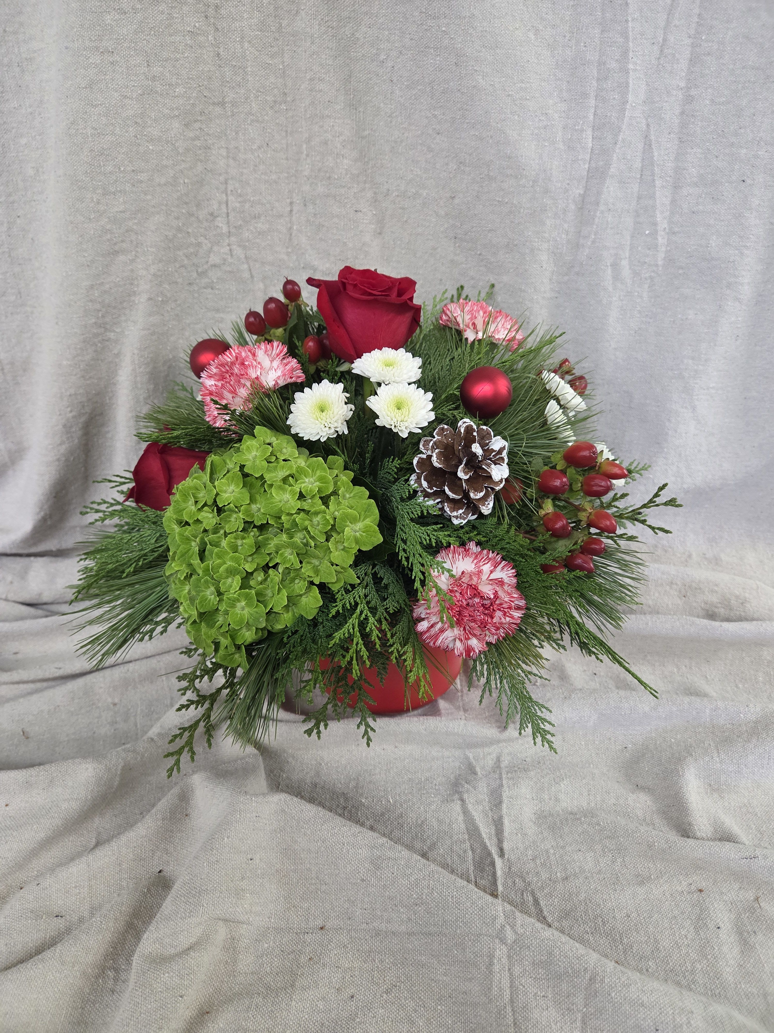 Jingle Bell Blooms - This festive holiday arrangement bursts with classic Christmas charm. Featuring rich red roses, cheerful white daisy mums, variegated red carnations, and a bright green hydrangea bloom, it’s beautifully accented with winter evergreens, red berry sprigs, and a frosted pinecone for a touch of snowy magic. Designed in a red container that adds warmth and seasonal flair, this bouquet is the perfect way to brighten holiday tables, gift to loved ones, or add a joyful pop of color to your home décor.