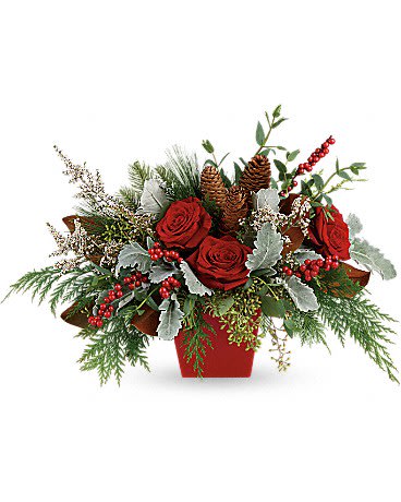 Winter Blooms Arrangement - Not your everyday Christmas centerpiece, this artisanal mix of roses and berries is stylishly presented in a tapered crimson cube. This stunning arrangement features red roses, white calcynia, dusty miller, flat cedar, white pine, noble fir, magnolia leaves, seeded eucalyptus, parvifolia eucalyptus, red berries and pinecones. Delivered in a red tapered cube. Orientation: All-Around