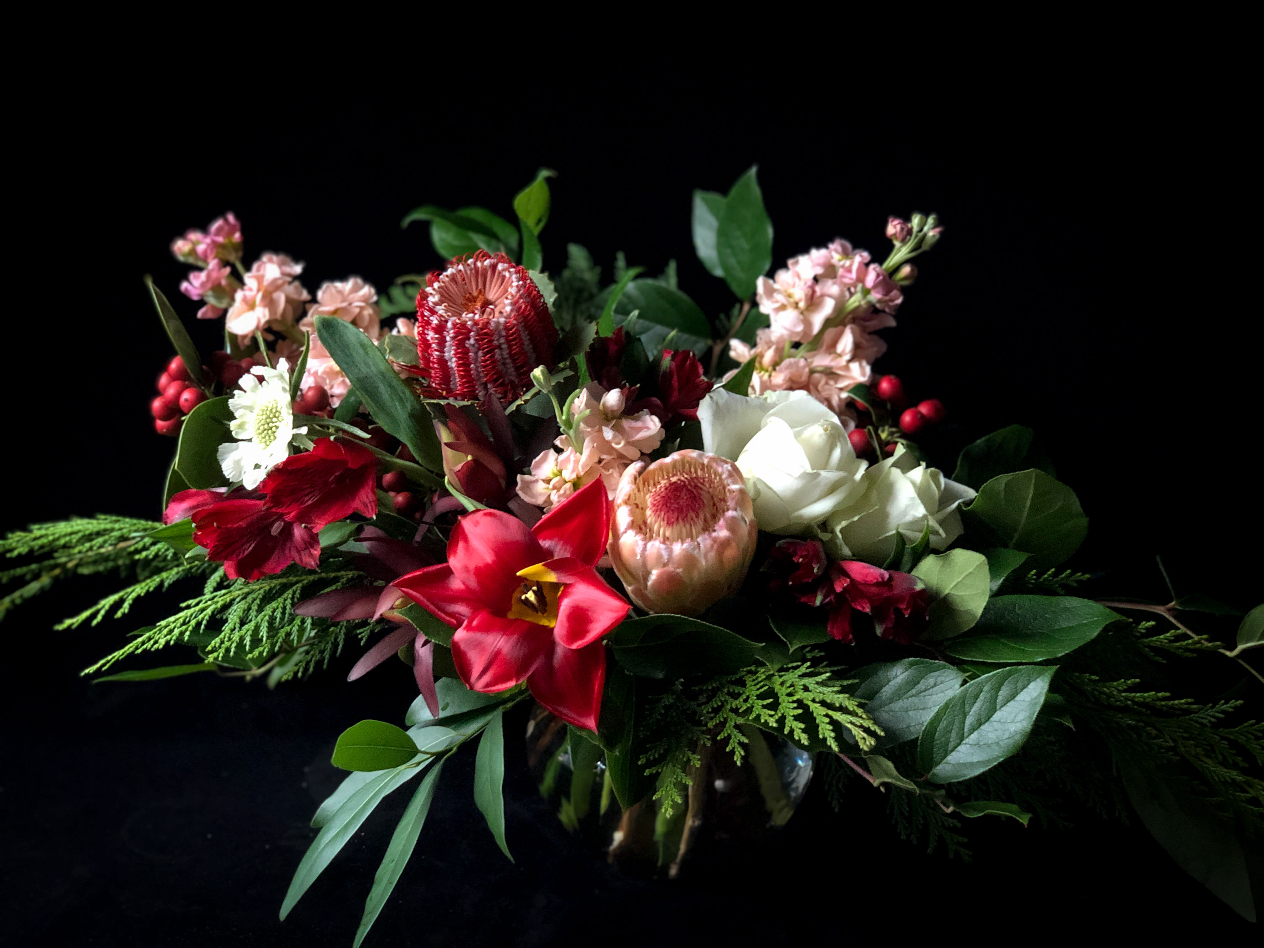 Holiday in California - A lively arrangement in holiday colors that is anything but traditional. In our signature "Long &amp; Low" style, featuring Protea, Banksia, fragrant Cedar &amp; Bay leaves, garden roses and Toyon Berry.  One sided starts at $132, choose the centerpiece option if you'd like it double sided for the table. Styled low so guests can see over &amp; enjoy each other's company.  We typically deliver between 1-5pm. If you need a specific delivery time, you may select delivery time at check out for an additional fee. 