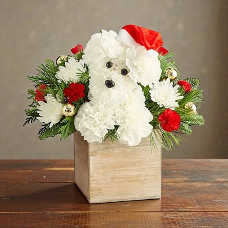Santa Paws Pup Arrangement in Box - This adorable, festive Christmas pup is sure to make your loved one smile. 
