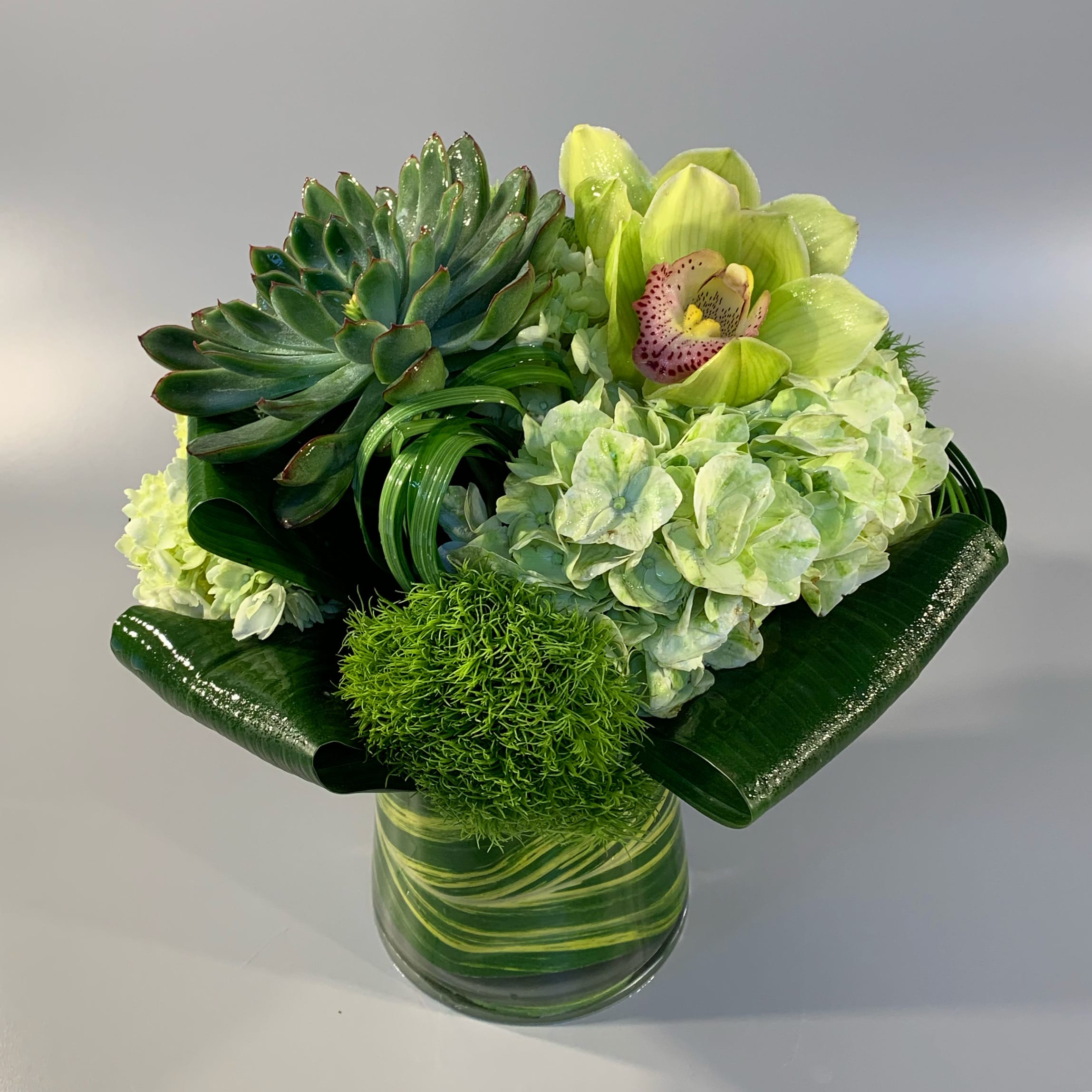 GREEN - A petite arrangement of long lasting groupings of dianthus, sculpted greenery, hydrangea, succulent and orchid blossom.