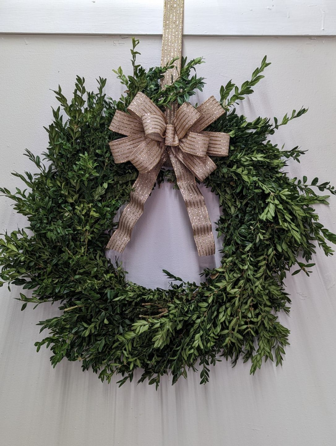 Fresh Boxwood Wreath 26'' Bow Color Of Your Choice - Fresh Boxwood Wreath – 26&quot; with Custom Bow Add timeless elegance to your holiday décor with this 26&quot; Fresh Boxwood Wreath. Crafted from lush, fragrant boxwood, this wreath creates a classic, natural look for your door, mantel, or wall. Personalize it with a bow in the color of your choice to perfectly match your seasonal décor or gift style. Durable and beautifully designed, it’s ideal for holiday decorating or giving as a festive gift.  Local delivery ONLY