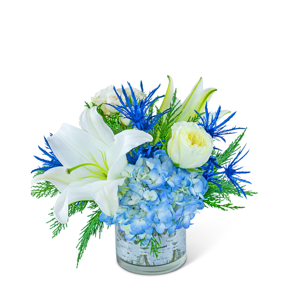 Winter Sky - Our Winter Sky flower design captures the serene beauty of a winter landscape. Delicate lilies, roses, and spray roses blend harmoniously with hydrangeas and blue eryngium, all elegantly arranged with premium foliage in a clear vase adorned with a birch ribbon wrap. The enchanting combination of white and blue colors evokes the tranquil charm of a winter sky, making it a perfect centerpiece for seasonal gatherings or a thoughtful gift to add a touch of serenity to any space.