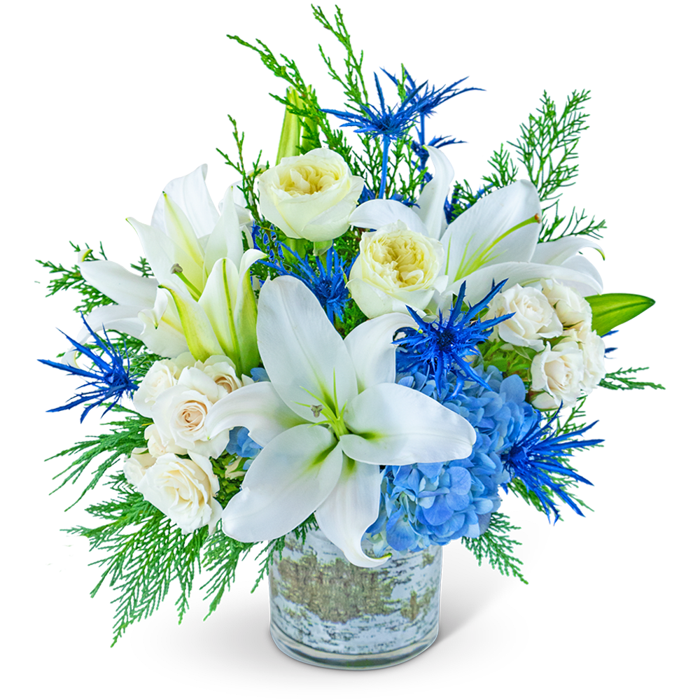Shimmering Winter Sky - Our Shimmering Winter Sky flower design captures the serene beauty of a winter landscape. Delicate lilies, roses, and spray roses blend harmoniously with hydrangeas and blue eryngium, all elegantly arranged with premium foliage in a clear vase adorned with a birch ribbon wrap. The enchanting combination of white and blue colors evokes the tranquil charm of a shimmering winter sky, making it a perfect centerpiece for seasonal gatherings or a thoughtful gift to add a touch of serenity to any space.
