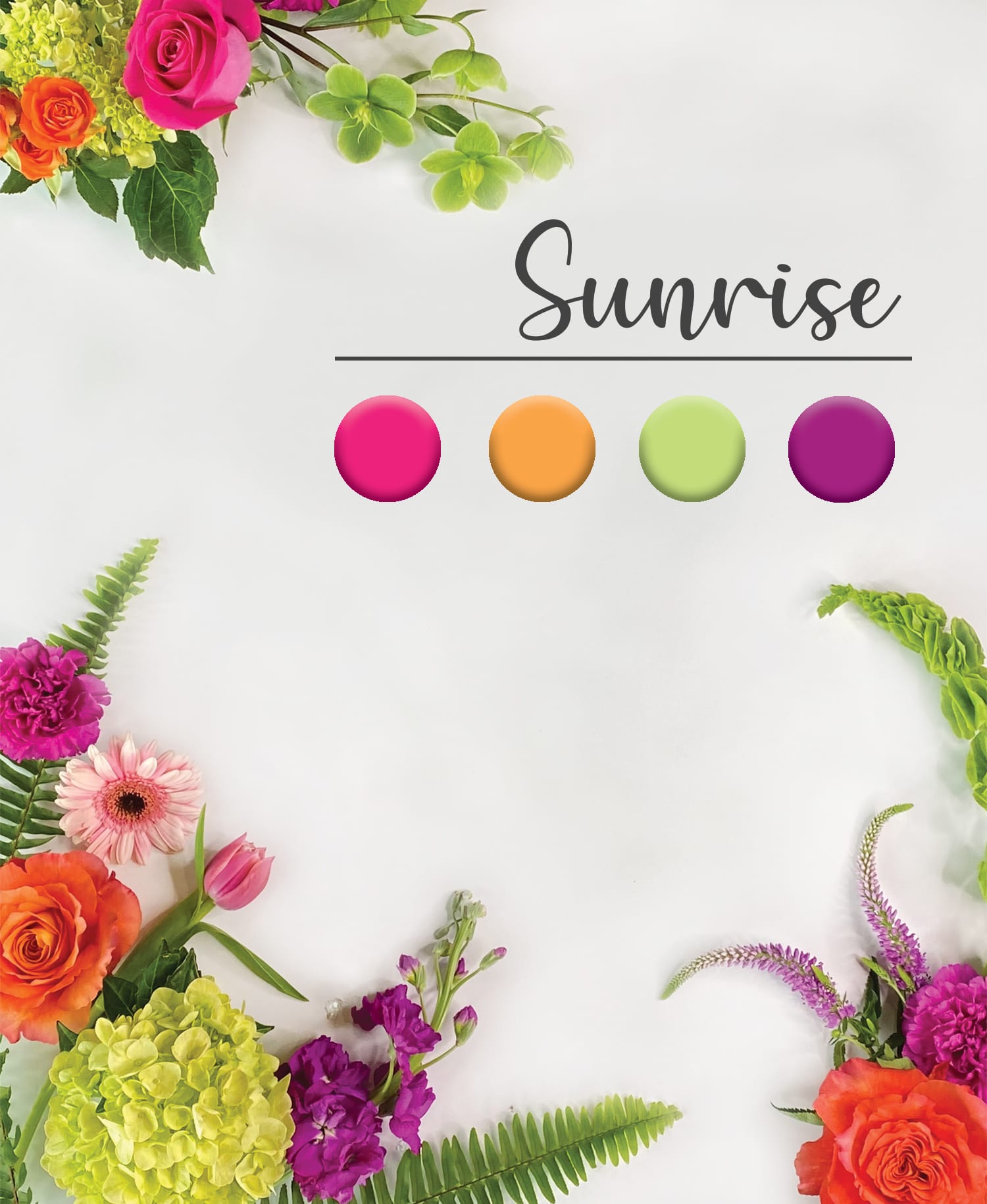 Sunrise  - Our talented designers will use premium flowers in a bold sunrise color palette to create a gorgeous modern style arrangement!  To see examples of our work, click on the Gallery tab above, or find us on Instagram and Facebook (links can be found at the bottom of this page).