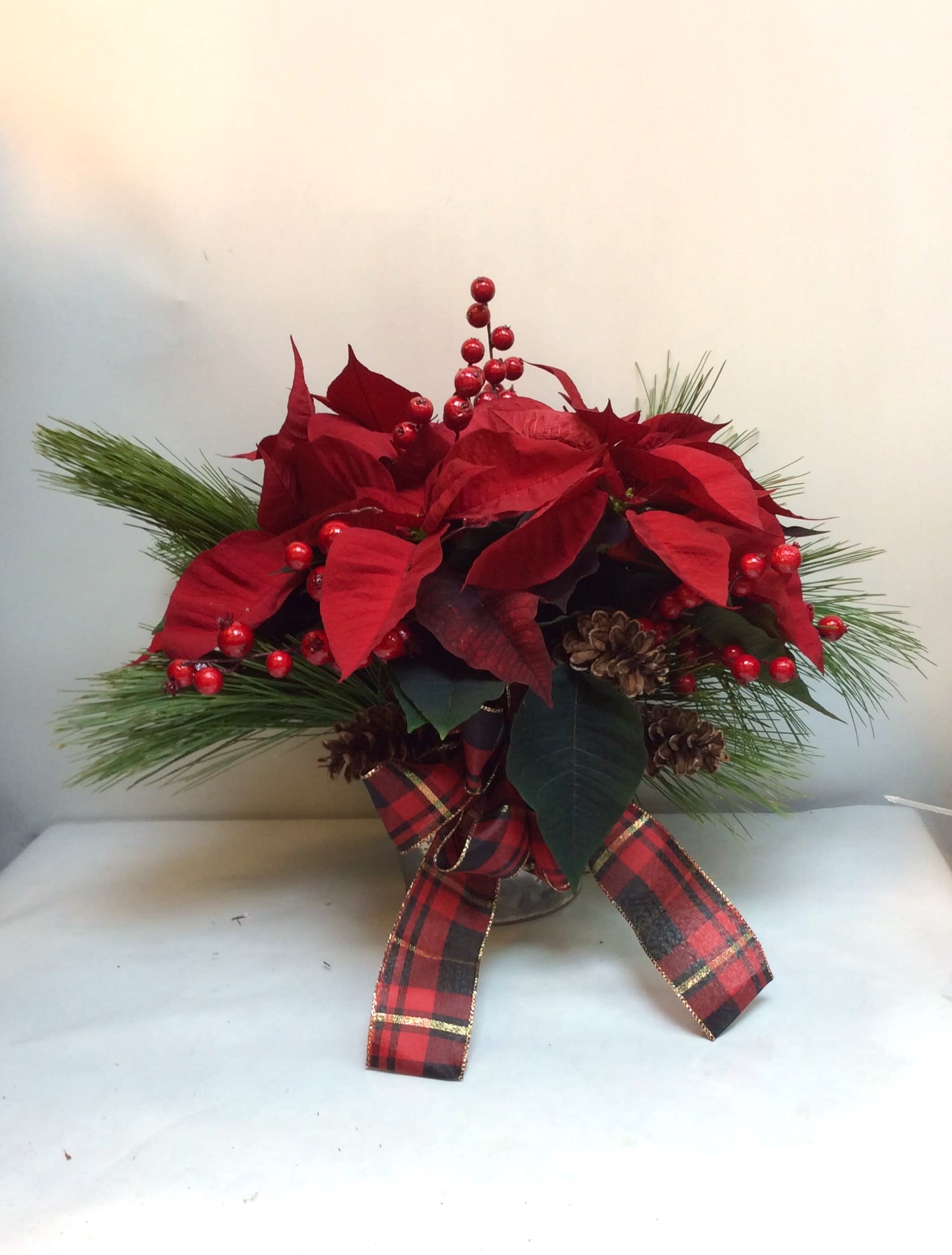 Holiday Poinsettia - Poinsettia Plant dressed for a festive occasion.  Décor and ribbon colors may vary. Color of poinsettia will vary.  If you have a special request please make a note and we will do our best to accommodate. HFS 201612-12