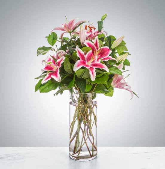 Splendent Stargazers by BloomNation™ - Pink lilies stand for love, admiration, compassion, and femininity. Send this sweet-smelling lily arrangement for Mother's Day, Women's Day, or an Anniversary.  1st Image: Standard 2nd Image: Premium
