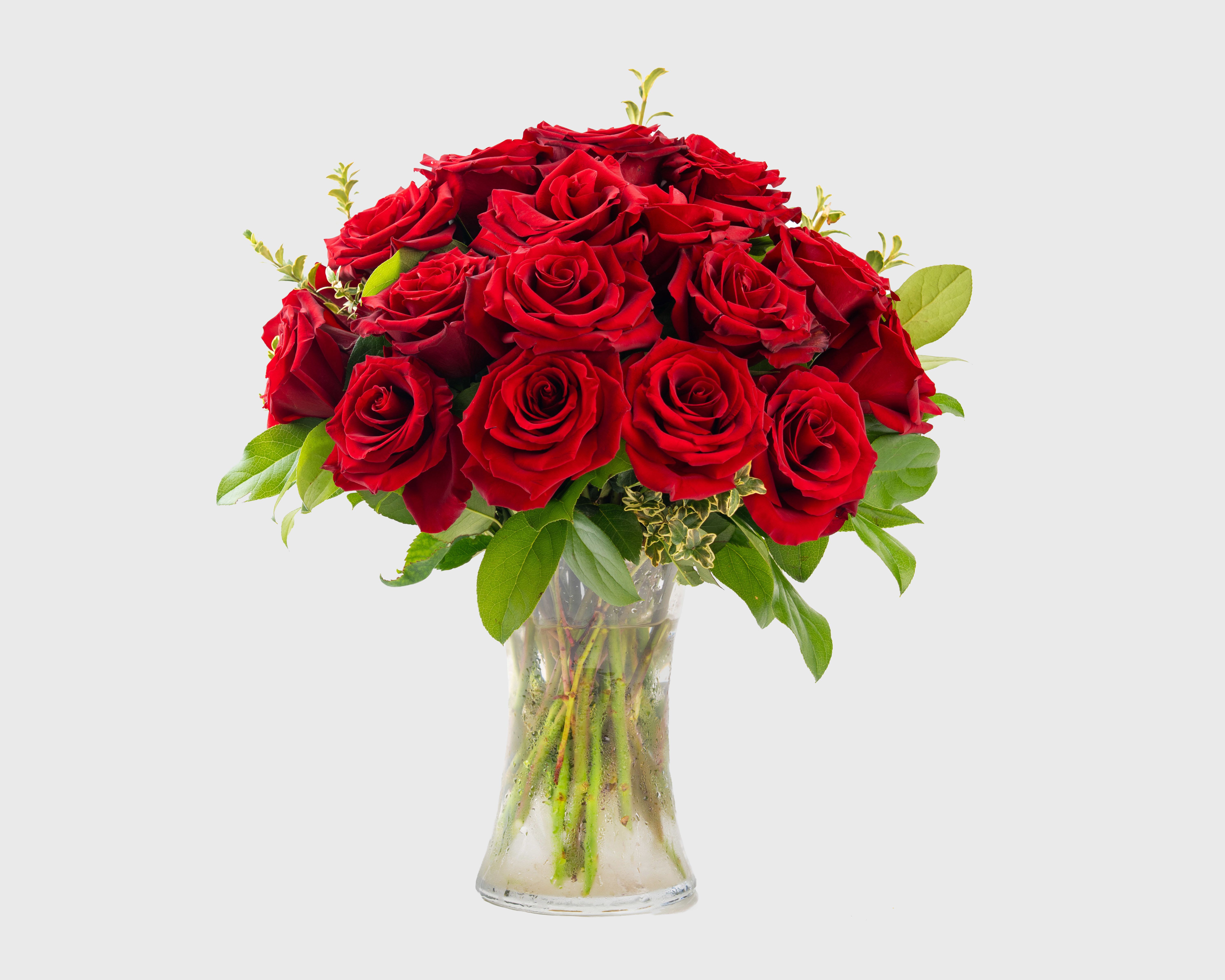 Two Dozen Long Stemmed Red Roses - Two Dozen Long Stemmed Red Rose
