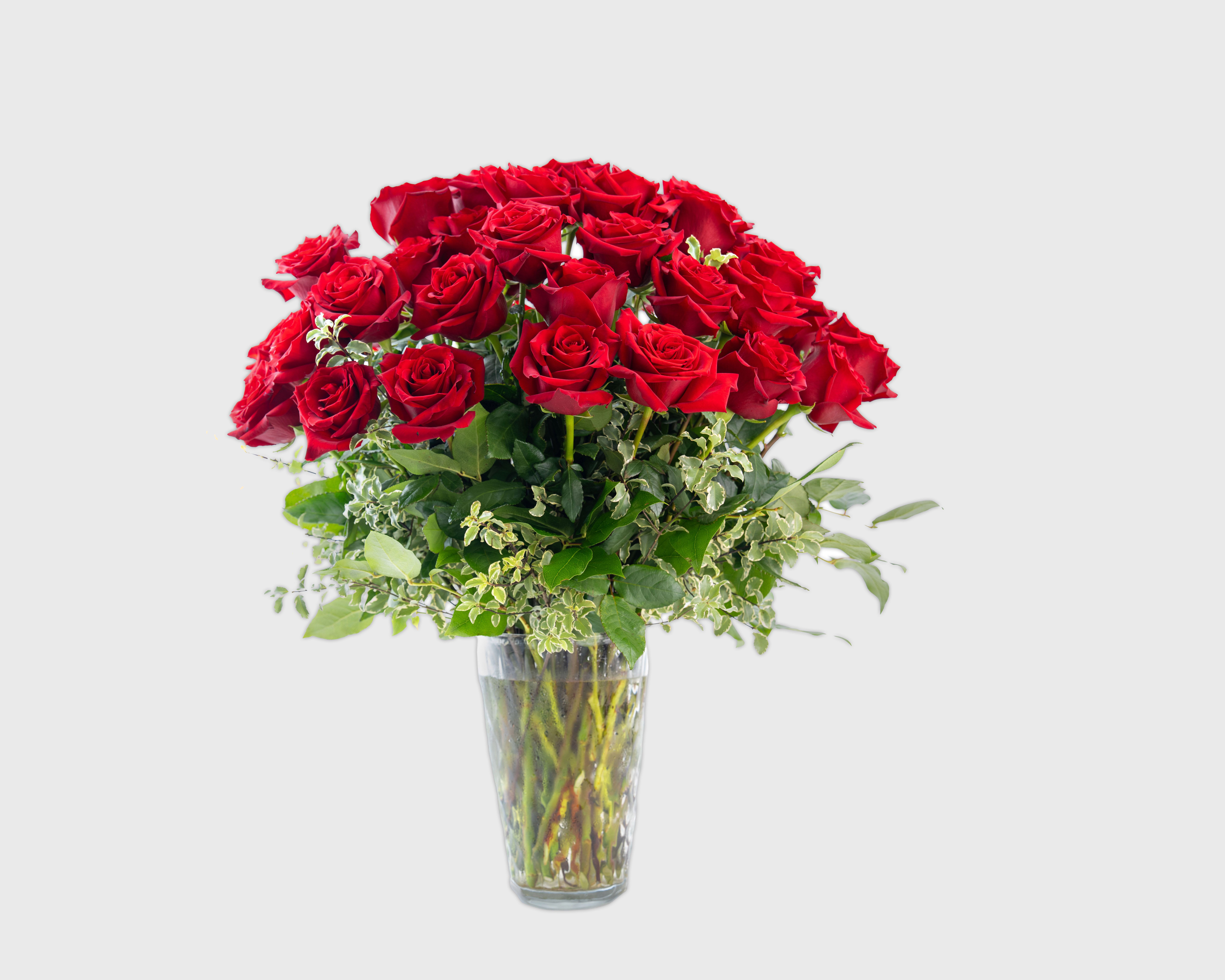 Three Dozen Long Stemmed Red Roses - Three Dozen Long Stemmed Red Roses