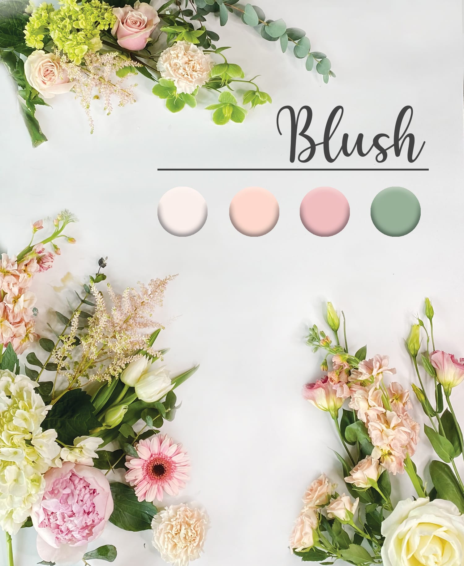 Blush  - Premium flowers in blush color palette.