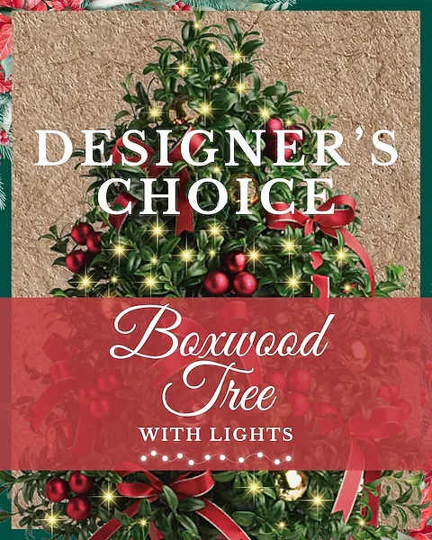 Designer's Choice Boxwood Tree with Lights - Introducing the epitome of elegance and sophistication this holiday season - our stunning Boxwood Tree with Christmas lights! Immerse your home in a lush green ambiance, meticulously crafted to perfection by our expert designers. **All lights on the tree will be white or multi colored unless specified in special instructions.**