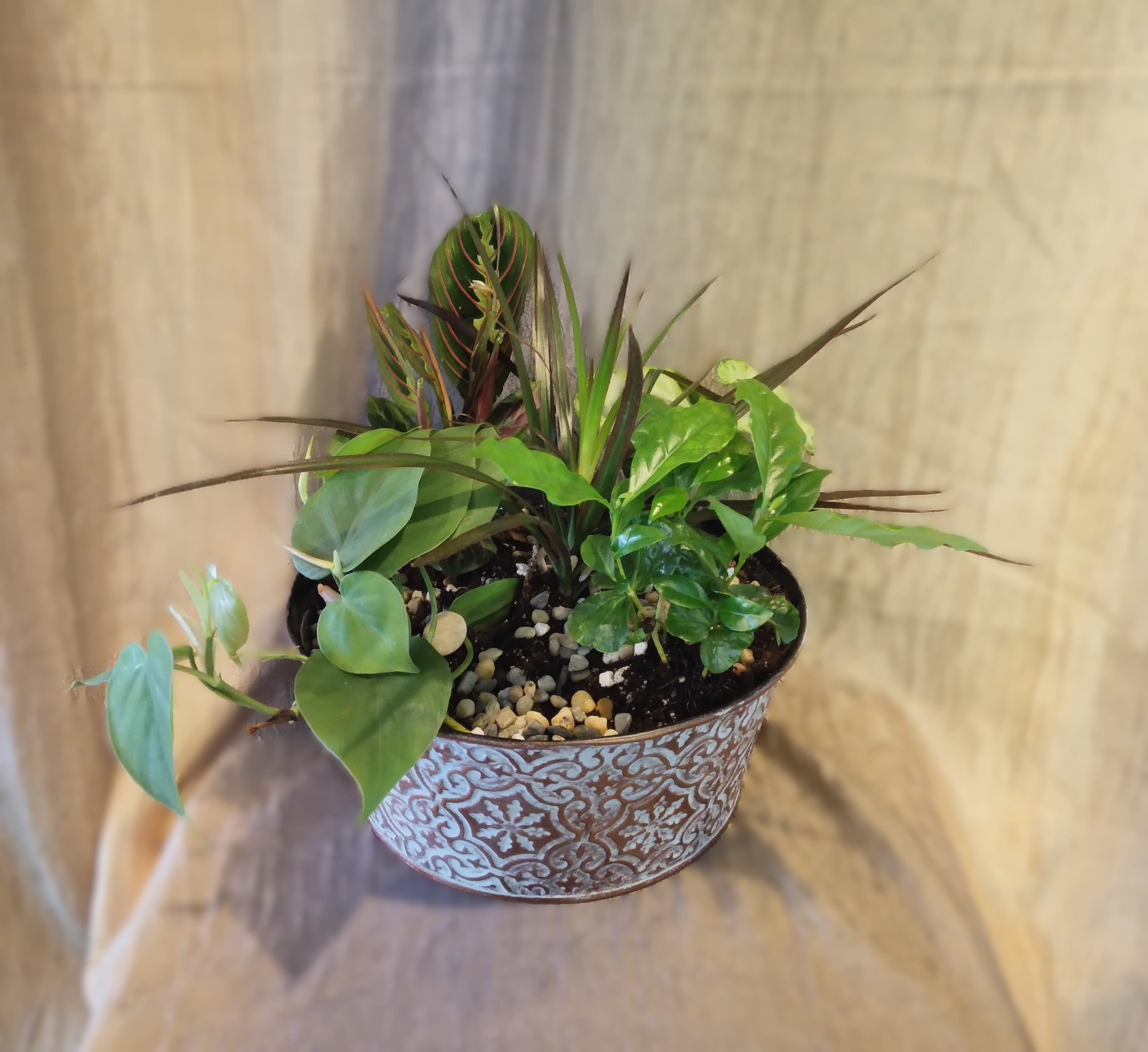 Brushed Metal Dish Garden ~ Flower A Day - Our 'Brushed Metal Dish Garden' features five green house plants arranged in rustic-looking metal dish, accented by smooth river stones. House plant type will vary. 