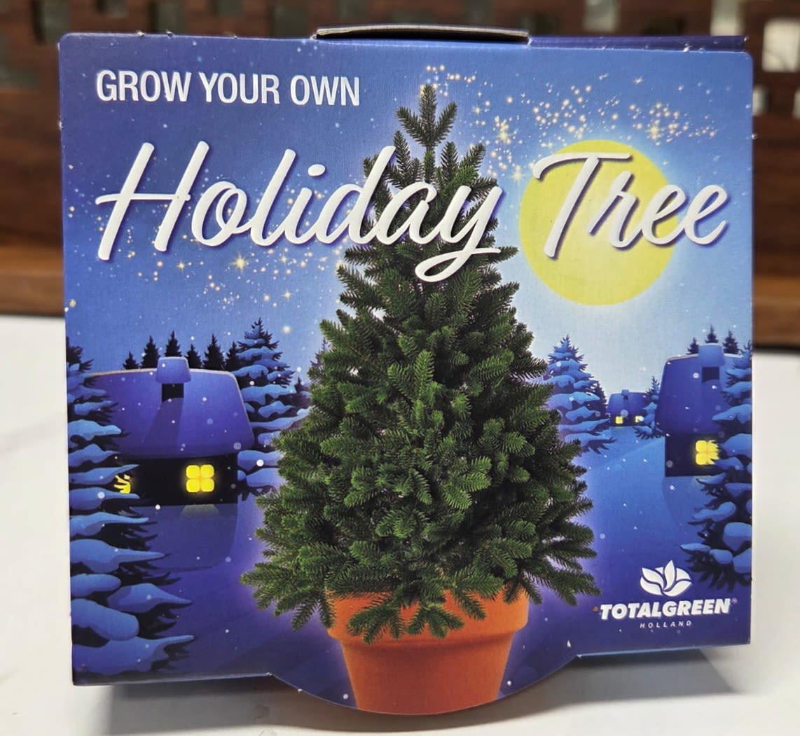 Grow Your Own Holiday Tree - Bring a little magic to the season with our Grow Your Own Holiday Tree kit! Designed to delight kids and families, this charming kit includes everything needed to sprout and grow a real mini holiday tree from seed, turning the wonder of the holidays into a hands-on adventure.  More than just décor, this kit is an interactive experience kids adore. From planting the first seed to watching it sprout day by day, it sparks curiosity, nurtures responsibility, and adds a joyful learning moment to the season. It’s a fun holiday project, a sweet family tradition in the making, and a perfect way to get little ones excited about nature.  A whimsical alternative (or addition!) to traditional florals and greenery, it’s great for gifting, displaying, and watching grow all season long.