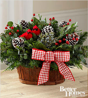 The Joyful Tidings Holiday Basket by Better Homes and Gardens® - Set to make that perfect seasonal impression, this gorgeous, fresh basket will delight your special recipients.  A beautiful base of Balsam Fir and Western Red Cedar is perfectly arranged in a natural basket to create an incredible look. Accented with cardinals and a bright bow.. Approximately 15"H x 11"W. 