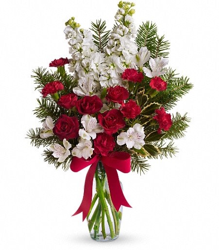 SNOWFLAKES AND SUGARPLUMS - Perfect for holidays or everyday, this delightful array of red and white flowers accented with holly and evergreen is a beautiful bargain. It's an ideal choice for neighbors, teachers, or anyone who brings something special to your life.  The cheerful bouquet includes red miniature carnations, white stock, variegated holly and noble fir accented with a red ribbon.  15&quot; W x 21&quot; H