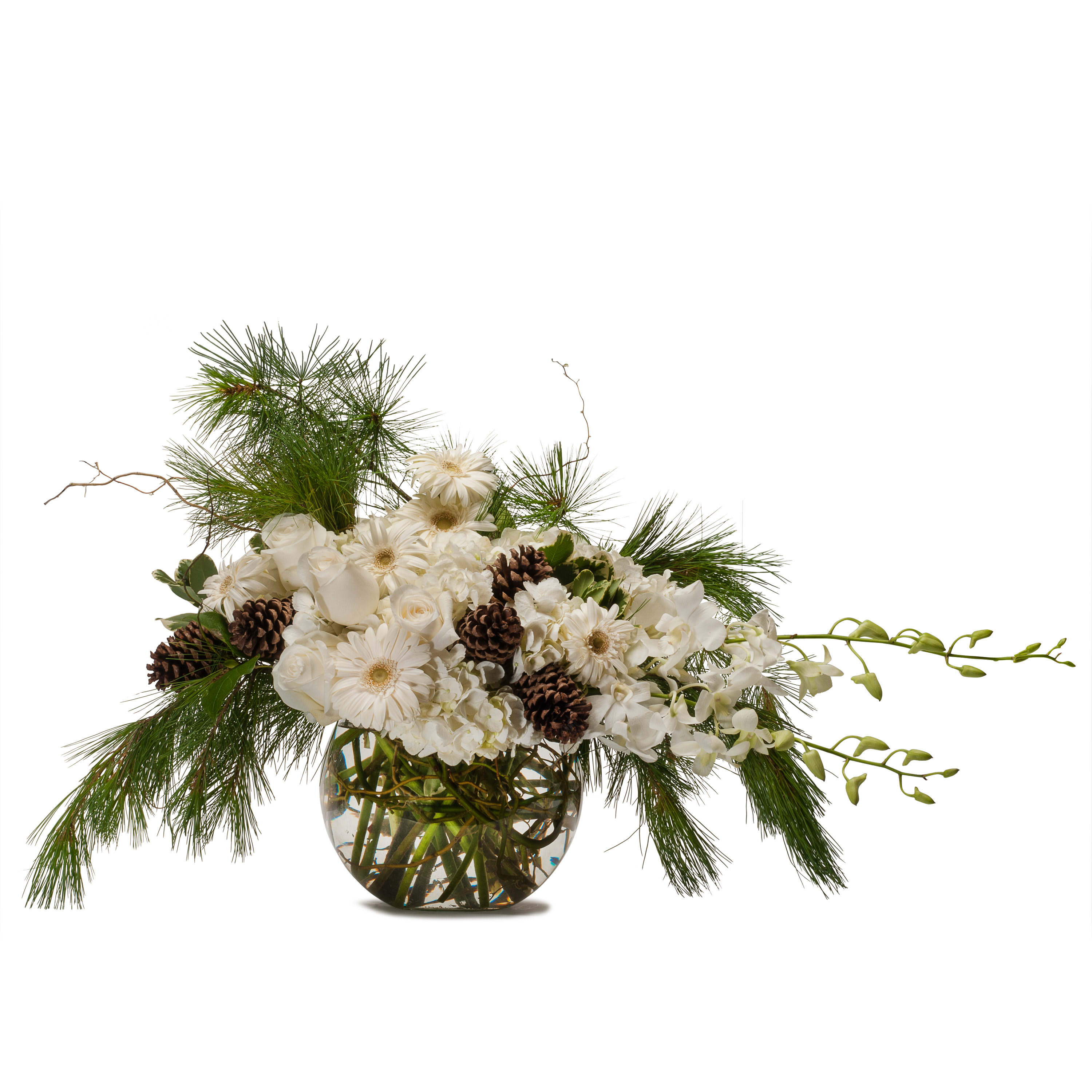 White Christmas TMF13-301 - This winter white bouquet is overflowing with elegance, combining roses, gerbera and hydrangea.