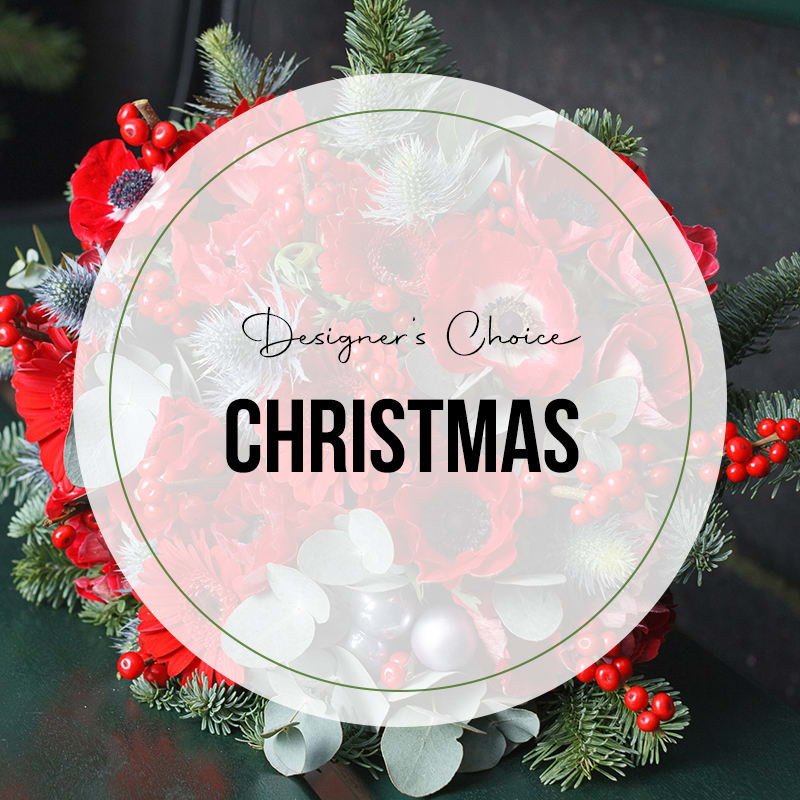 Christmas Designer's Choice - Our florists will create a beautiful arrangement with the most magnificent blooms but we cannot guarantee a specific flower type, we can promise that your arrangement will be gorgeous and fresh. The picture is just an example of the colors that the florist will use in the arrangement.