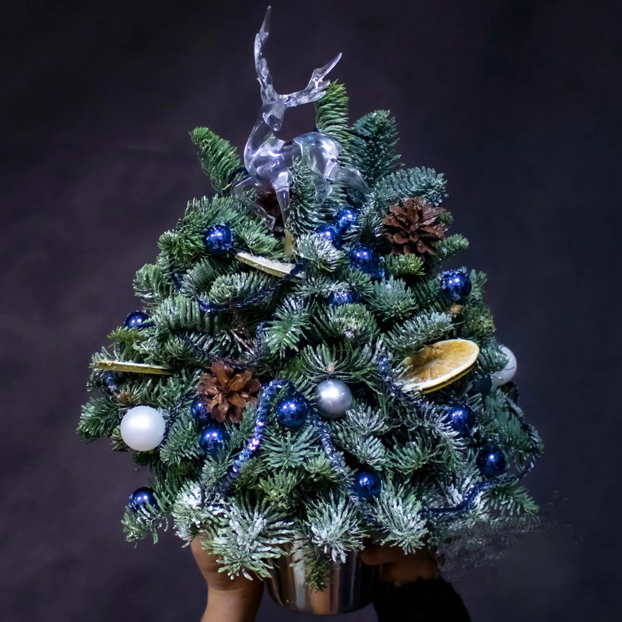 Small Christmas Tree with Blue Decorations  - Small Christmas Tree with Blue Decorations 