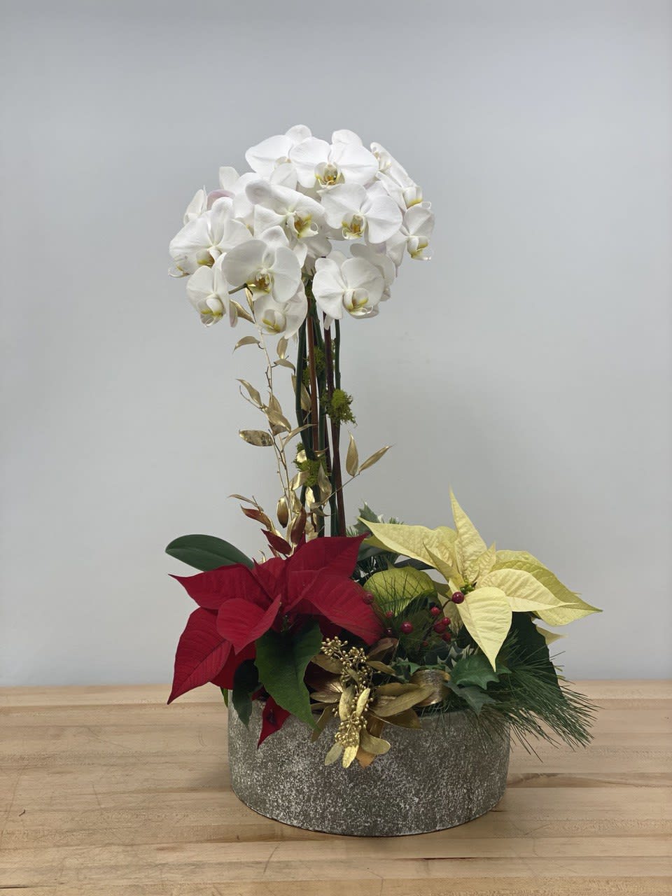 Charming - Tall, white Phalaenopsis orchids, combined with two poinsettias and decorated by tinted gold Italian cuscus leaves, pine and tinted gold seeded eucalyptus in a round concrete container, makes this arrangement an elegant, classy, and unique gift for Christmas, or any other occasion. Dimensions: 24&quot; tall, 15&quot; wide