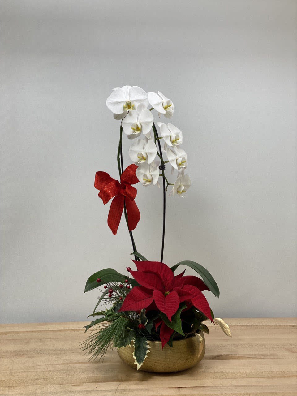 Pandora - Isn't it gorgeous? It's a combination of a white cascading orchid and a red poinsettia decorated with evergreens and holy sticks in a high end gold ceramic container, symbolizing Christmas colors. You can change the poinsettia for another plant and the evergreen for curly willows for occasions other than Christmas. Just let us Know! Container's dimensions:9&quot; diameter, 4&quot; tall