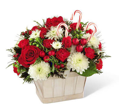 Candy Cane Lane - Make the holidays Merry with this festive bouquet of red and white blooms designed in a natural basket. 