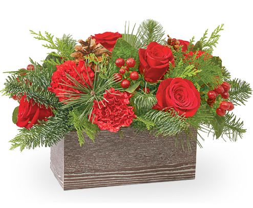 Christmas Cabin - Inspired by the rustic outdoors of the holiday season, our Christmas Cabin Bouquet brings natural beauty indoors.