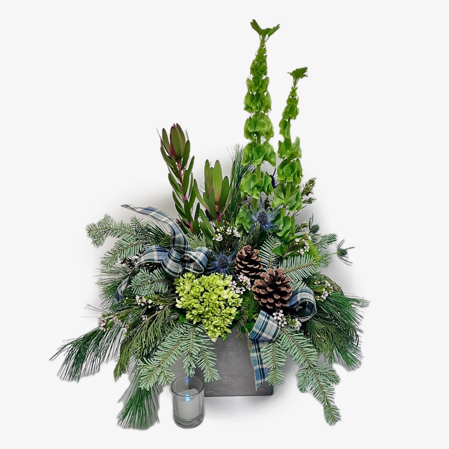 Evergreen Glen - Celebrate the season with Evergreen Glen! This striking arrangement features towering green bells of Ireland, frosted evergreens, and rustic pinecones, evoking the charm of a cozy winter getaway. Pops of fresh hydrangea and blue thistle add an unexpected twist, while the classic tartan ribbon ties it all together with a touch of timeless Scottish flair. Presented in a modern cement cube container, it combines rustic elegance with contemporary style, making it the perfect gift to bring natural beauty and a hint of heritage to anyone’s holiday festivities.