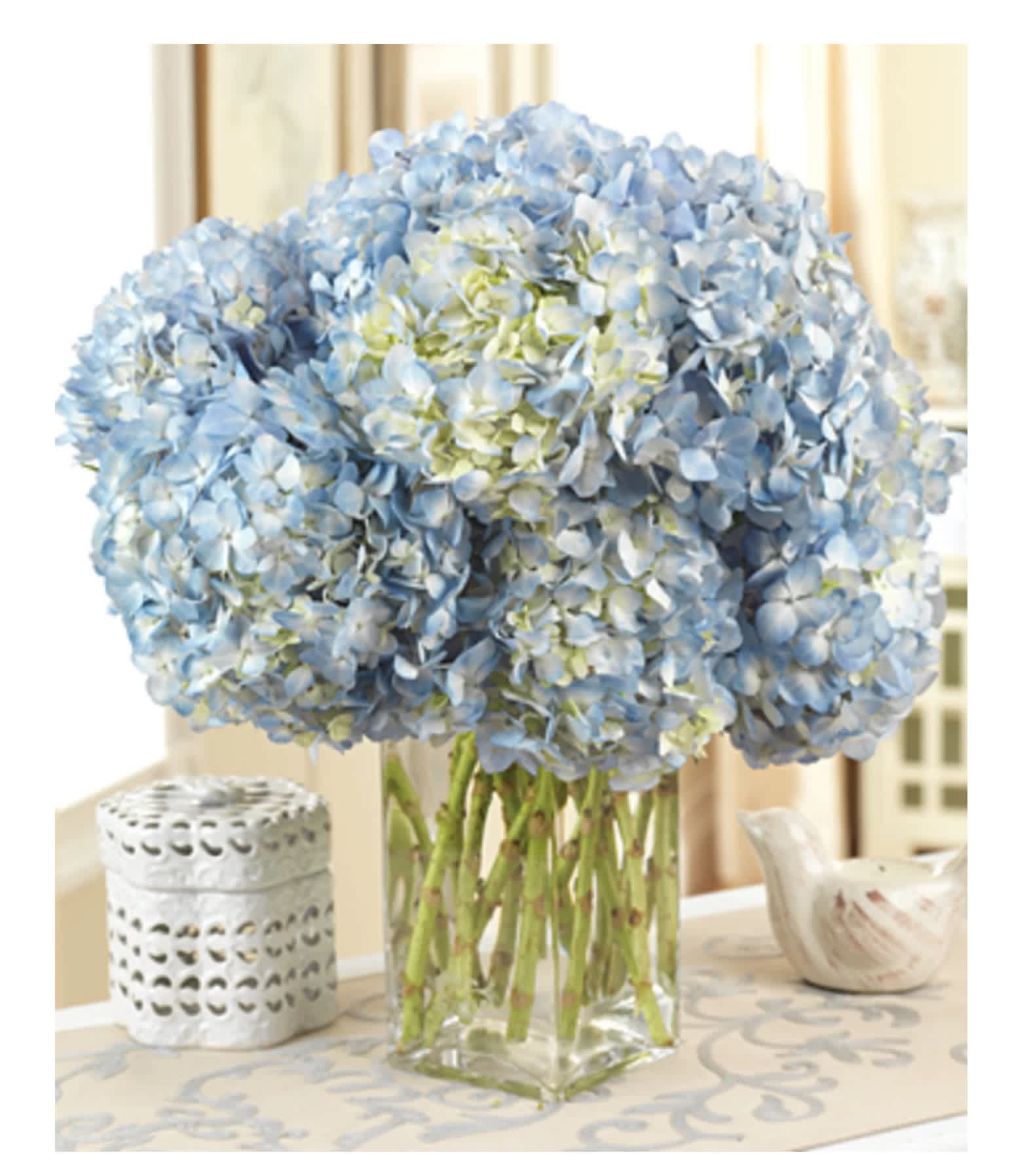 Blue Hydrangea Bouquet - Amazing! Blue with  hydrangeas possess the casual grace and enduring beauty that makes them a favorite for sending well wishes. Magnificent, saturated blooms bursting with hundreds of lacy