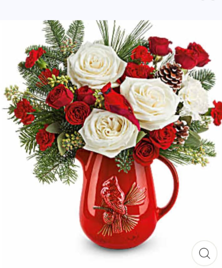 Scarlet Cardinal Pitcher - Christmas red roses white carnations 