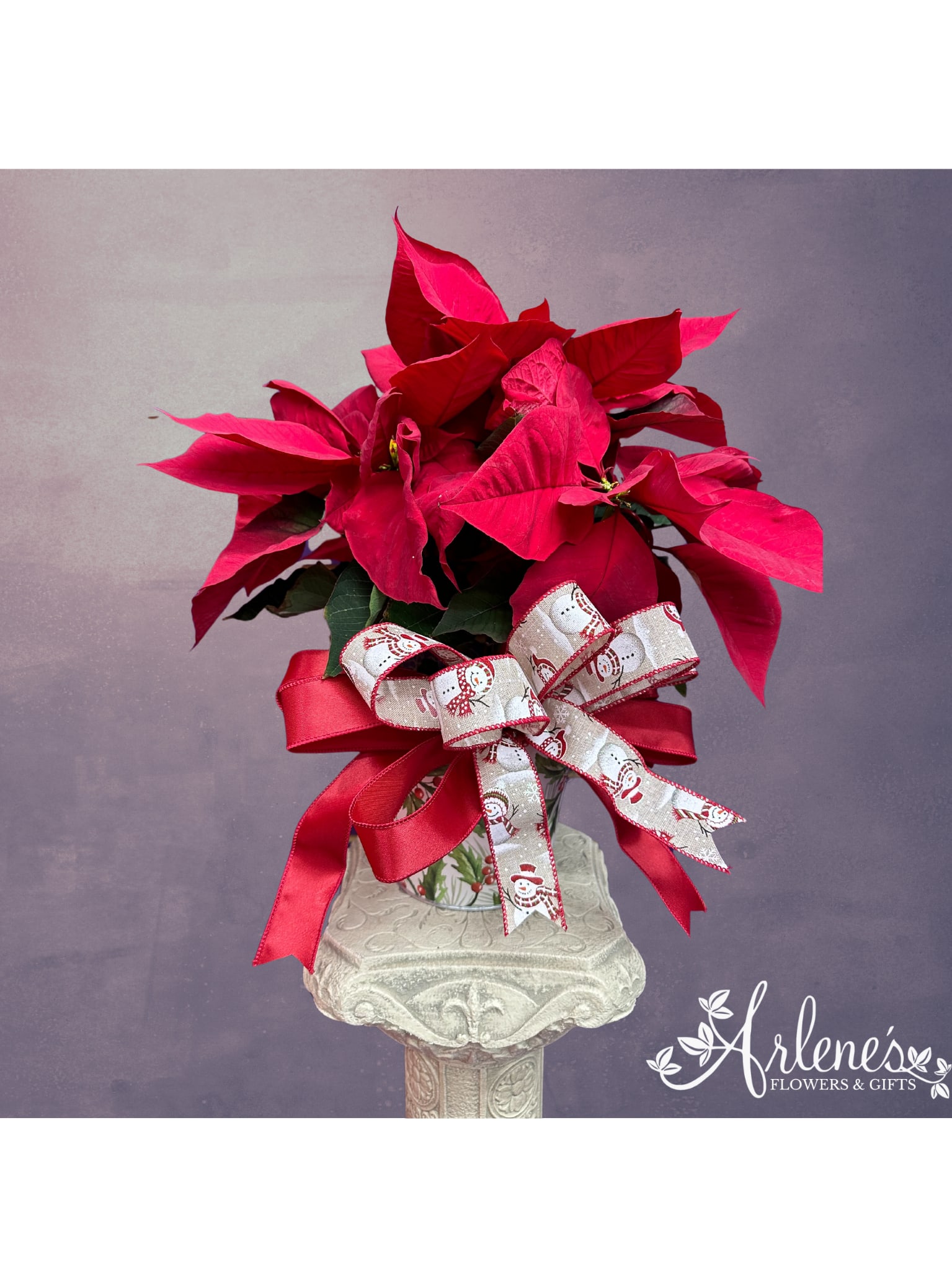 Christmas Poinsettia - A symbol of the season, poinsettias represent good will toward your community. They are known as the plant of the holy night! This festive foliage is featured in a decorative planter. Each plant is about one foot to one and a half feet tall in the pot and will include a winter Christmas theme bow!